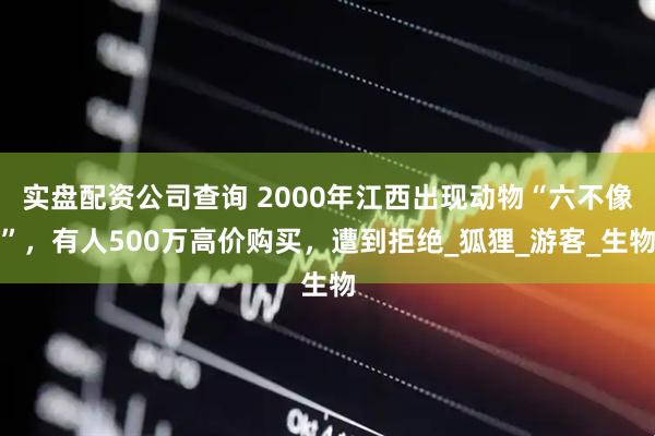 实盘配资公司查询 2000年江西出现动物“六不像”，有人500万高价购买，遭到拒绝_狐狸_游客_生物