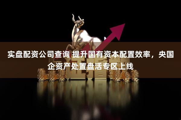 实盘配资公司查询 提升国有资本配置效率，央国企资产处置盘活专区上线