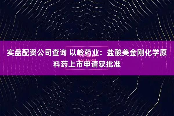 实盘配资公司查询 以岭药业：盐酸美金刚化学原料药上市申请获批准
